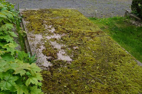 Bad Godesberg